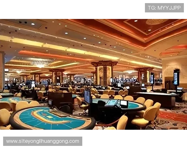 澳门六大赌牌的未来发展趋势与行业影响，洞察澳门博彩市场的潜在机遇与挑战