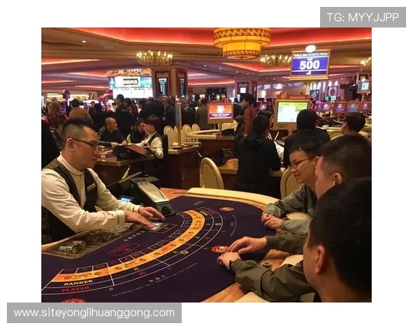 澳门新濠国际博彩攻略指南帮助玩家提升中奖率实现财富梦想